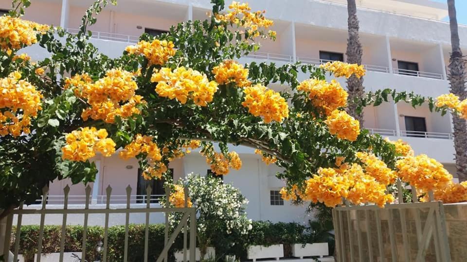 Kardamena Holiday Apartments Dış mekan fotoğraf