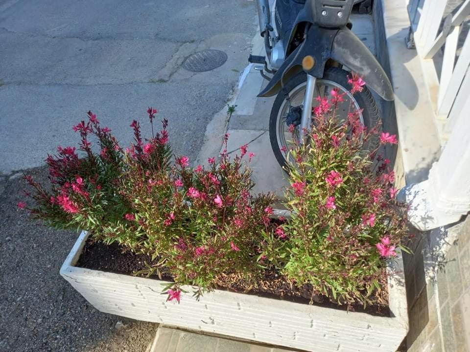 Kardamena Holiday Apartments Dış mekan fotoğraf