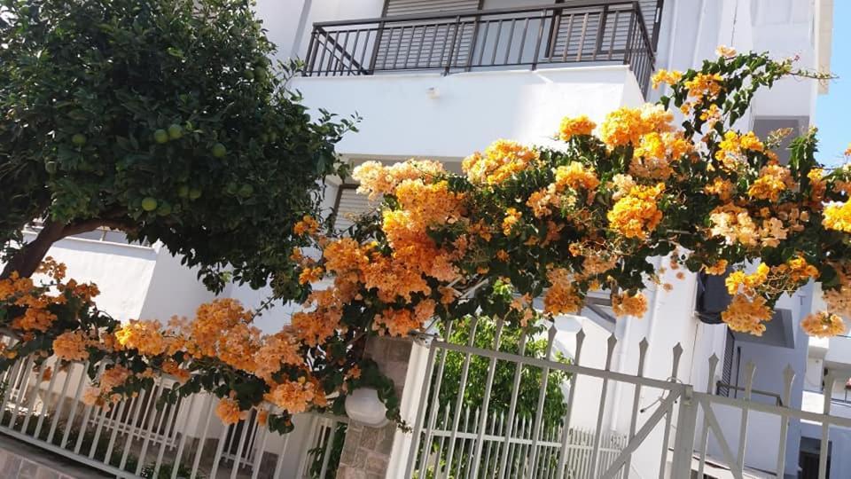 Kardamena Holiday Apartments Dış mekan fotoğraf