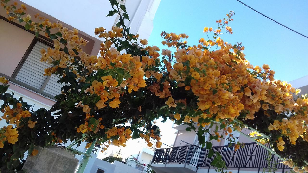 Kardamena Holiday Apartments Dış mekan fotoğraf
